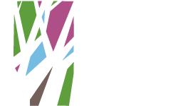 Embassy springs logo